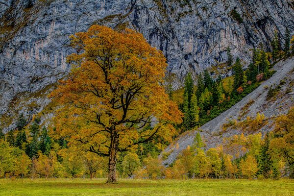 Temps d automne en Autriche