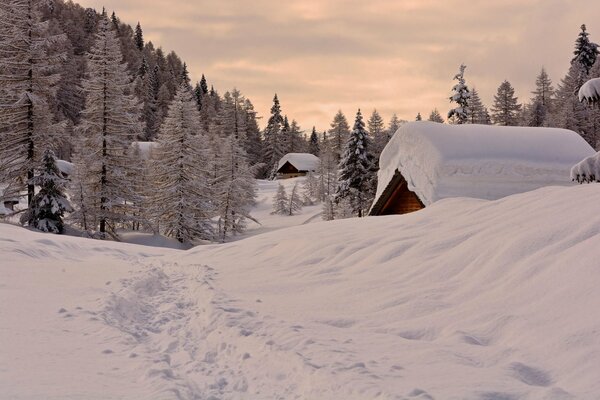 Maisons couvertes de neige en hiver