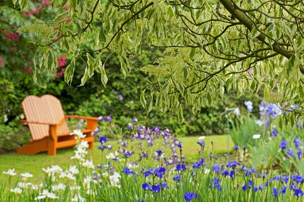 Im Park auf einer Bank, viele Blumen