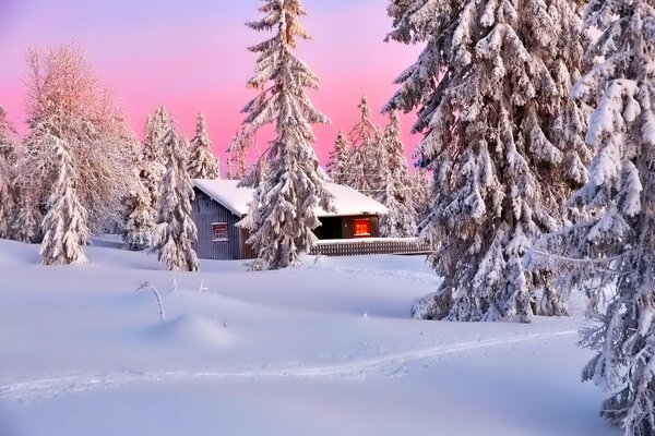 Maison entre les dérives de neige et d arbres