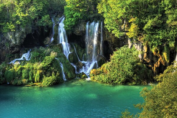 Forest lake with waterfall