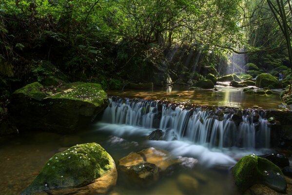 Cascada en miniatura en el río del Fabuloso bosque empapado de sal