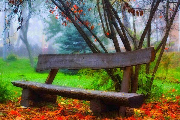 Banc dans le parc, sur fond de feuillage d automne et d arbres