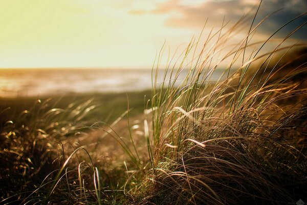 Playa desierta. Mar de otoño