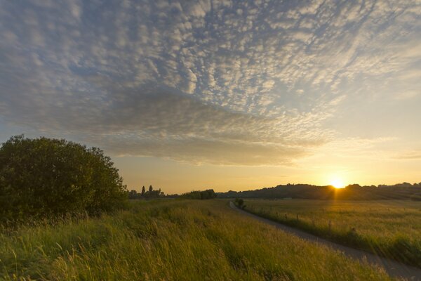 Der Sonnenuntergang fällt auf das Feld und die Wolken schwimmen vorbei