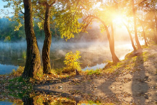 Wundervolle Herbstzeit im Dorf