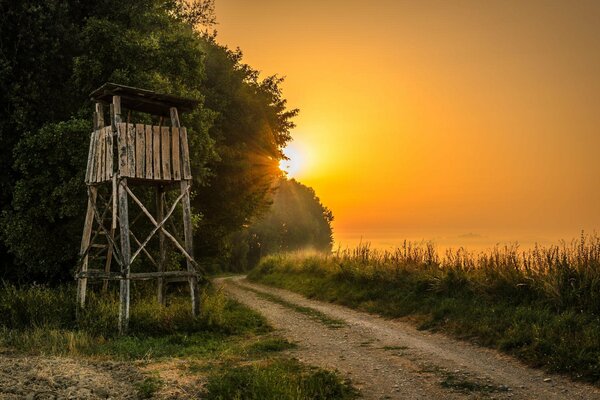 A dilapidated observation tower near an abandoned country road