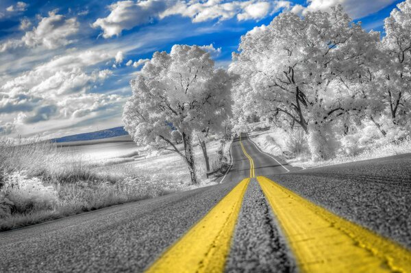 Empty road and frosty landscape