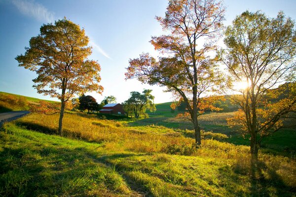 Herbstliche Natur zwischen Bäumen und Feldern