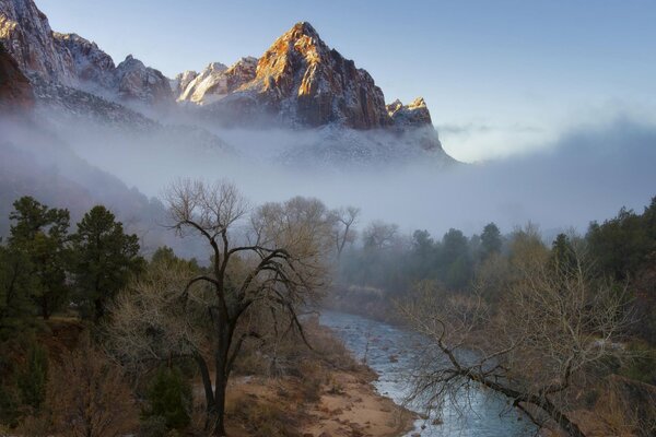 En el bosque de montaña, la niebla sobre el río