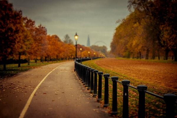 Der Weg durch den im Herbst bemalten Park