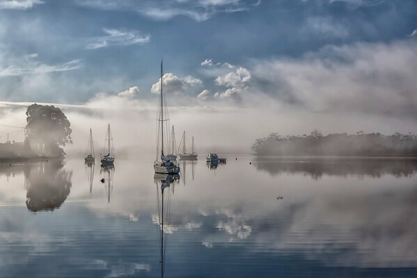 A river in Australia, shrouded in fog