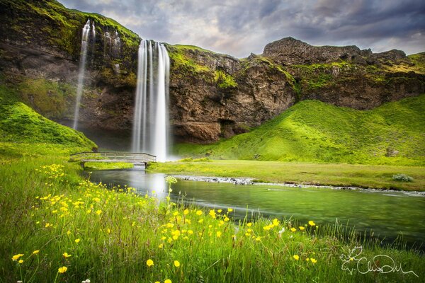 Nature in summer with a waterfall and flowers