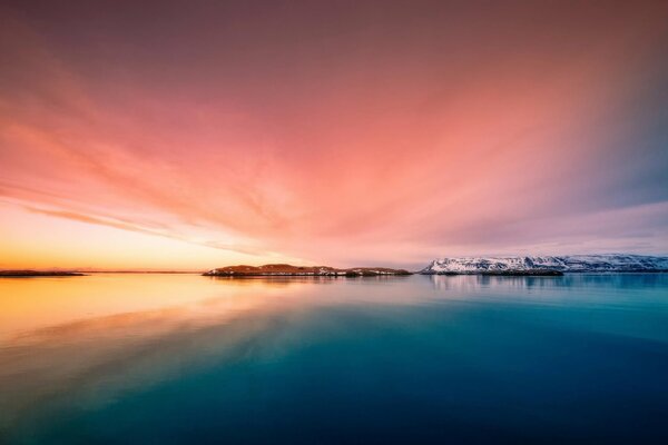 Islande. La beauté inhabituelle de la faune