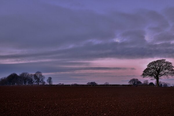 Automne soir nuages