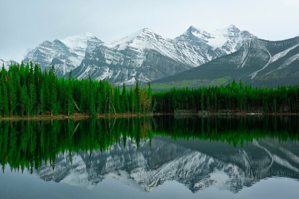 Landschaft der Berge. Reflexion der Berge im Wasser