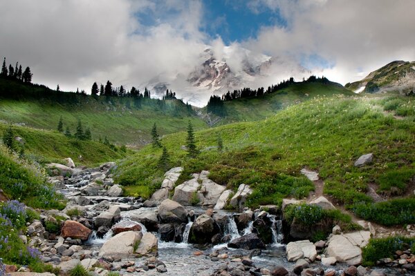 Landscape of a mountain river with cold water