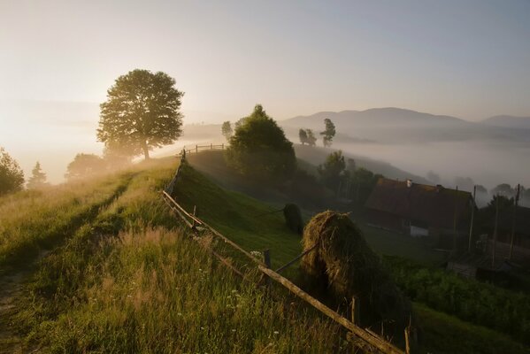 Nebliger Morgen in einem Dorf in den Karpaten