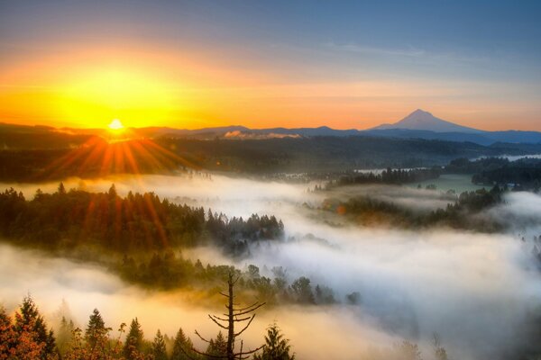 Ein grauer, nebliger Morgen, die Sonne geht auf