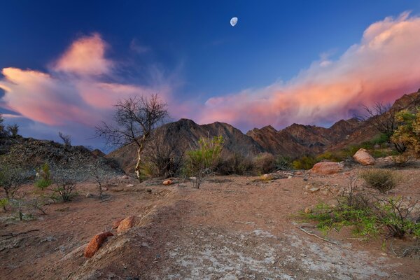 El cielo se cierne sobre el desierto lunar