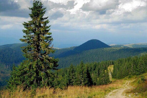 Небо и облако горы и лес