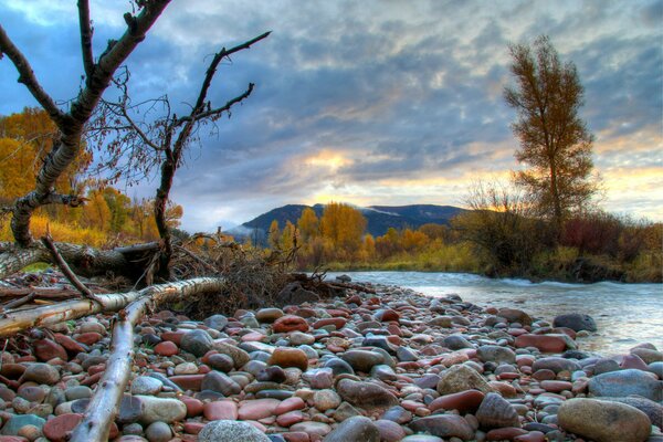 Rivière de montagne d automne dans l après-midi