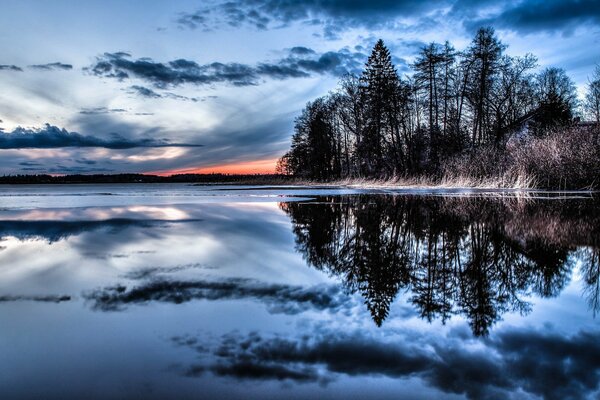 Reflexion von Wolken und Bäumen im Wasser im Wald