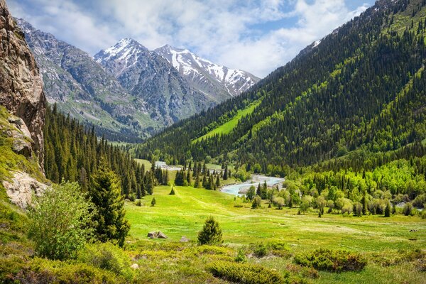 Amazing forest, mountains and river in India