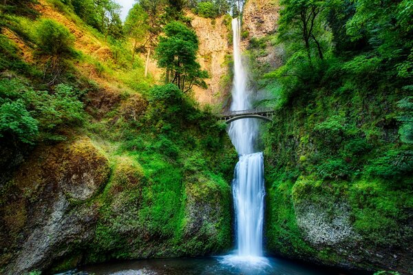 Petit pont au-dessus de la cascade