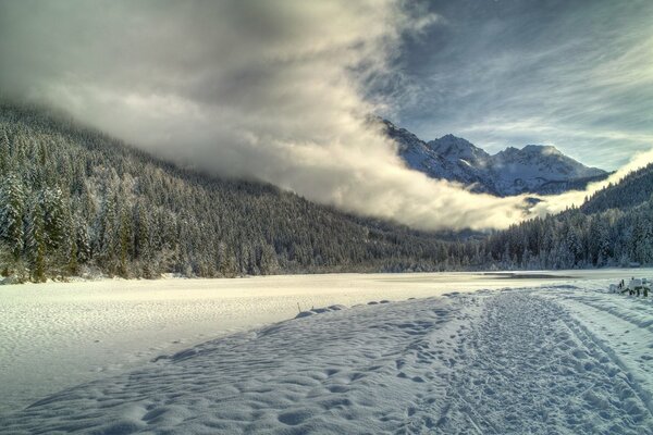 Snowy view with mountains and forest