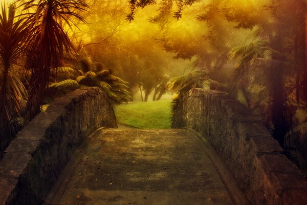 Stone bridge among the mystical fog