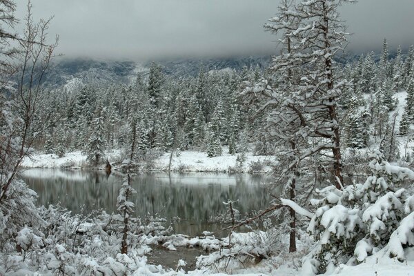 El bosque congelado de invierno se refleja en la superficie del agua