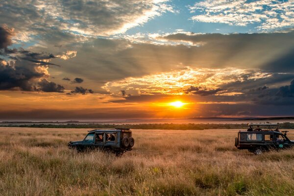 Le Safari offre une vue magnifique sur l horizon