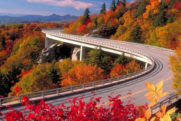 Route d automne allant dans le ciel