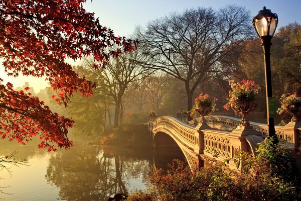 Saison d automne dans le parc du pont avec la rivière