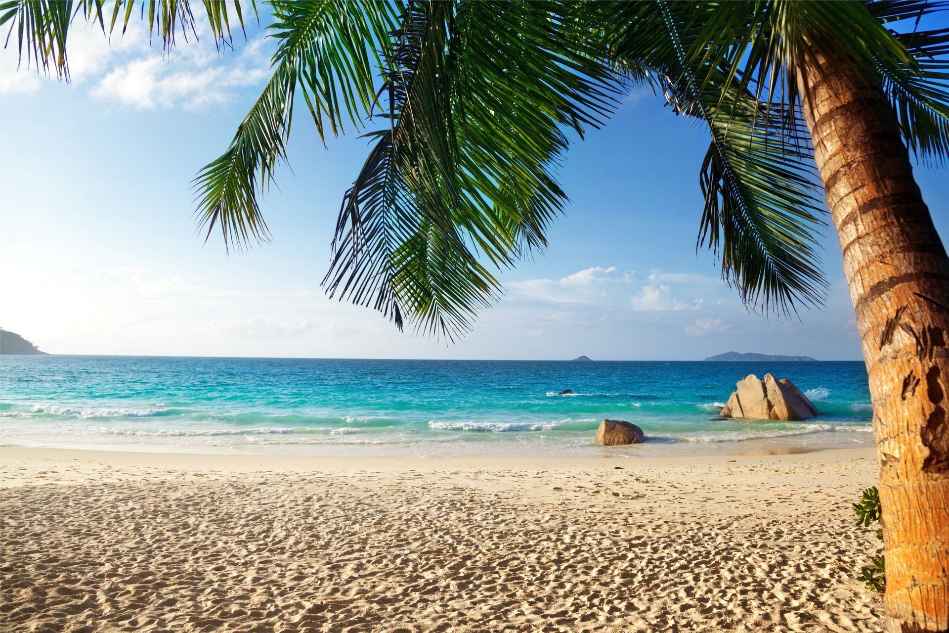 tropical paradis plage palmiers mer océan été vacances tropiques sable rivage