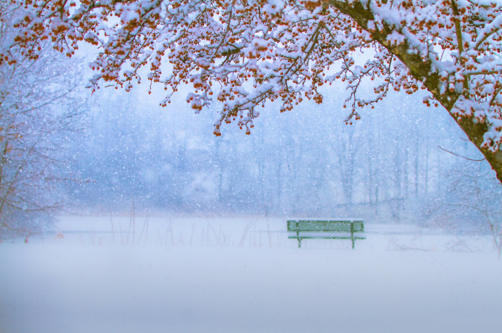 park trees bench snow winter snowfall