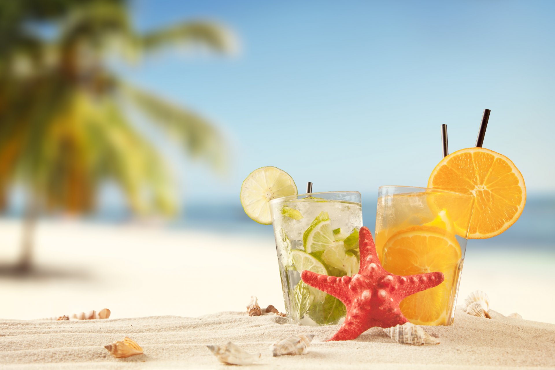 été tropical vacances plage boire sable été mer soleil cocktails coquillages citron vert orange