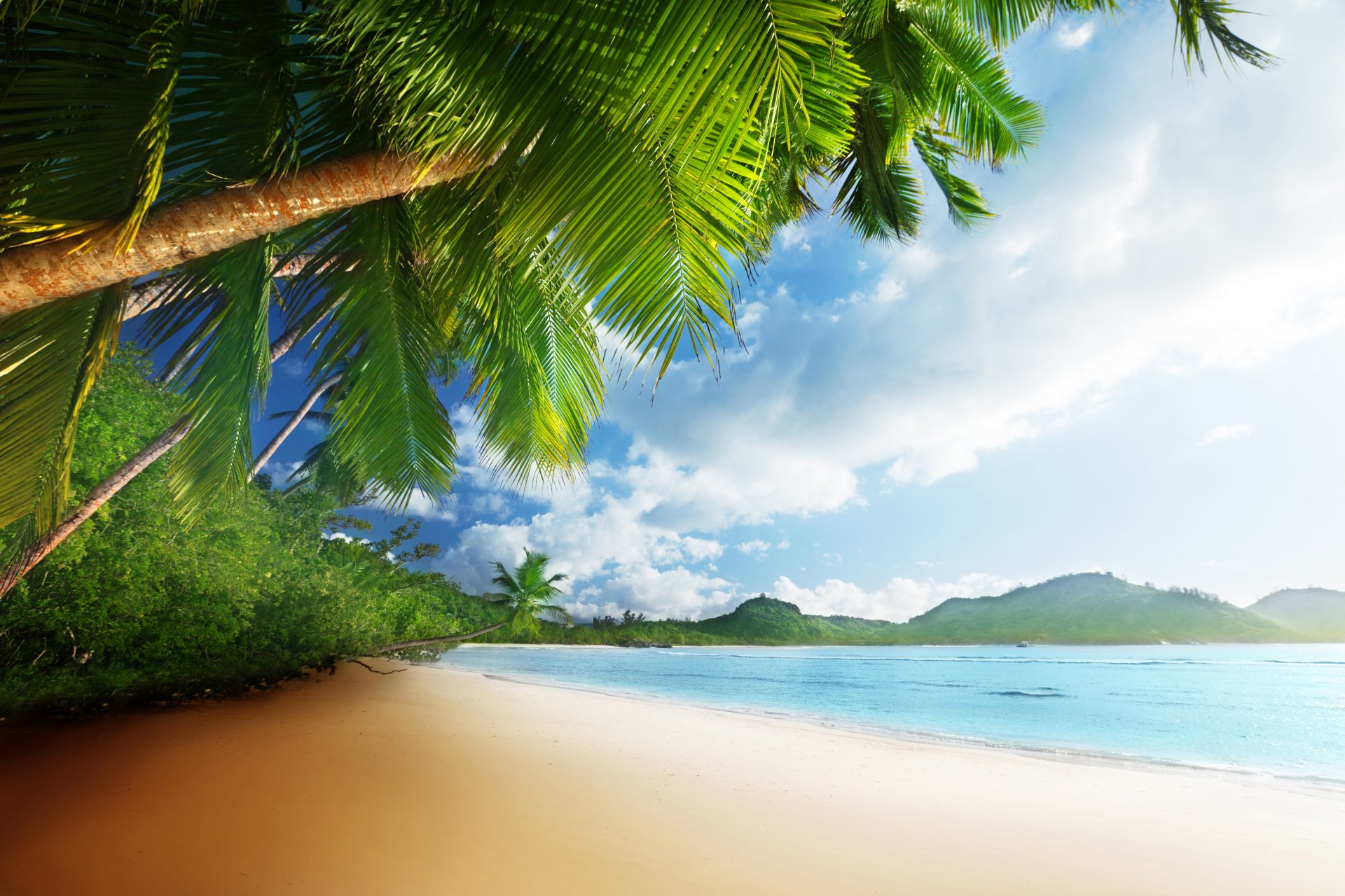 tropical paradise sun beach coast sea sky blue emerald ocean palm summer sand vacation tropics coast palm tree