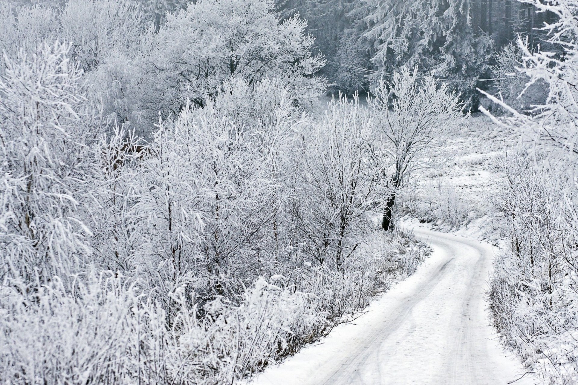 bartolomé foto invierno nieve carretera invierno escarcha árboles temporada