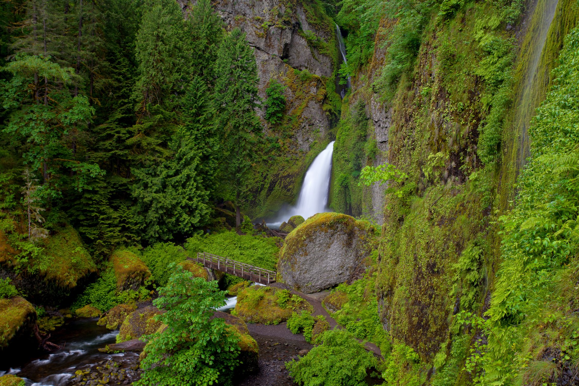 wahclella falls oregon cascade roches rivière pont végétation