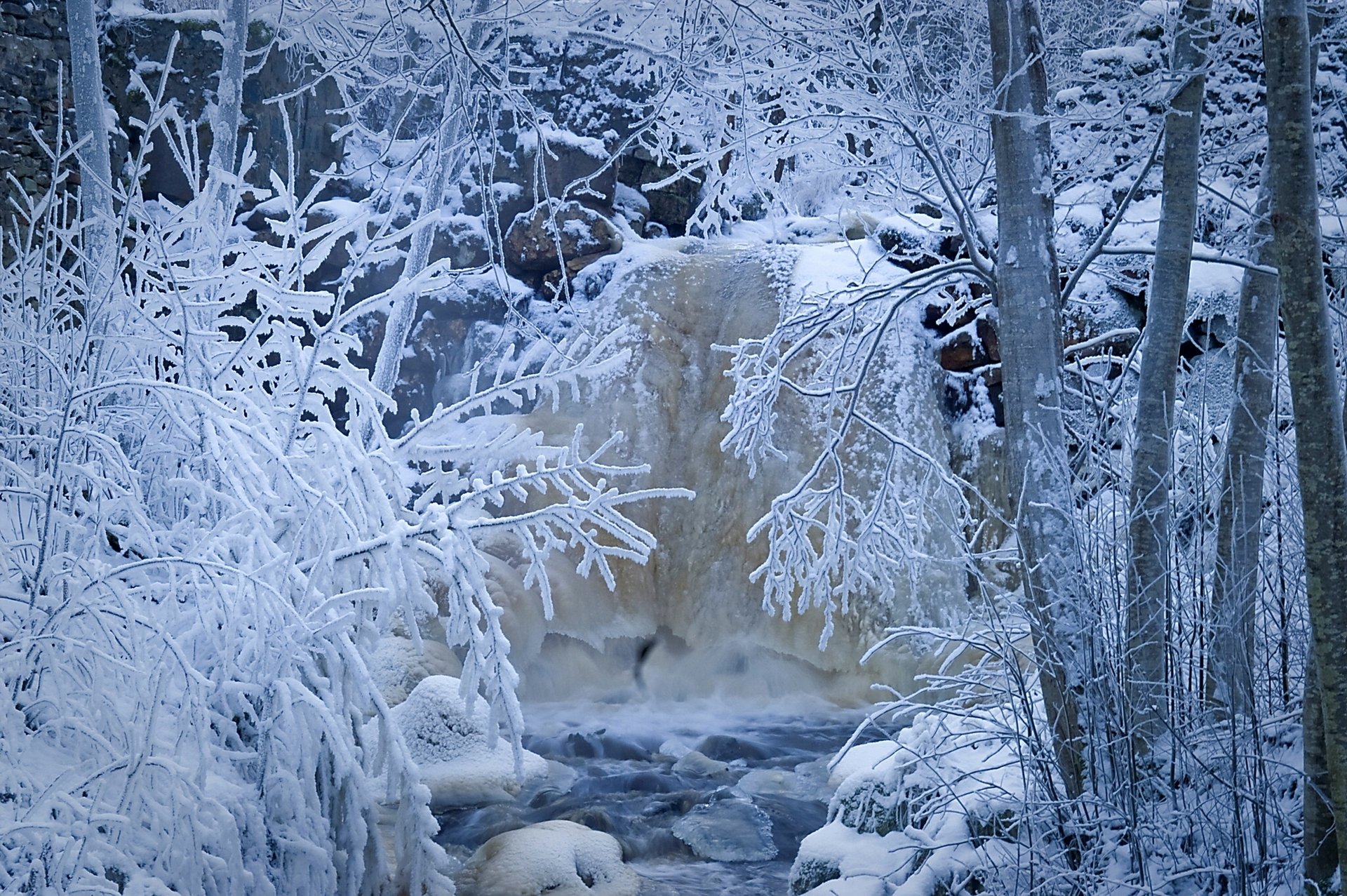 suède hiver rivière ruisseau arbres forêt neige givre