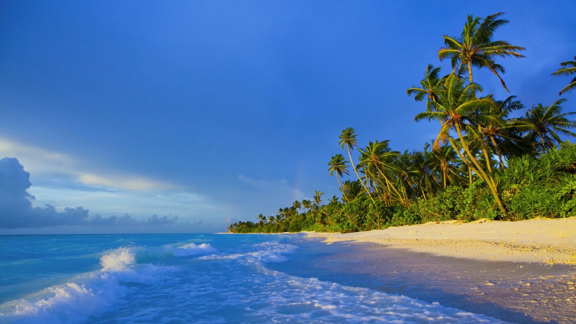 maldive costa palme