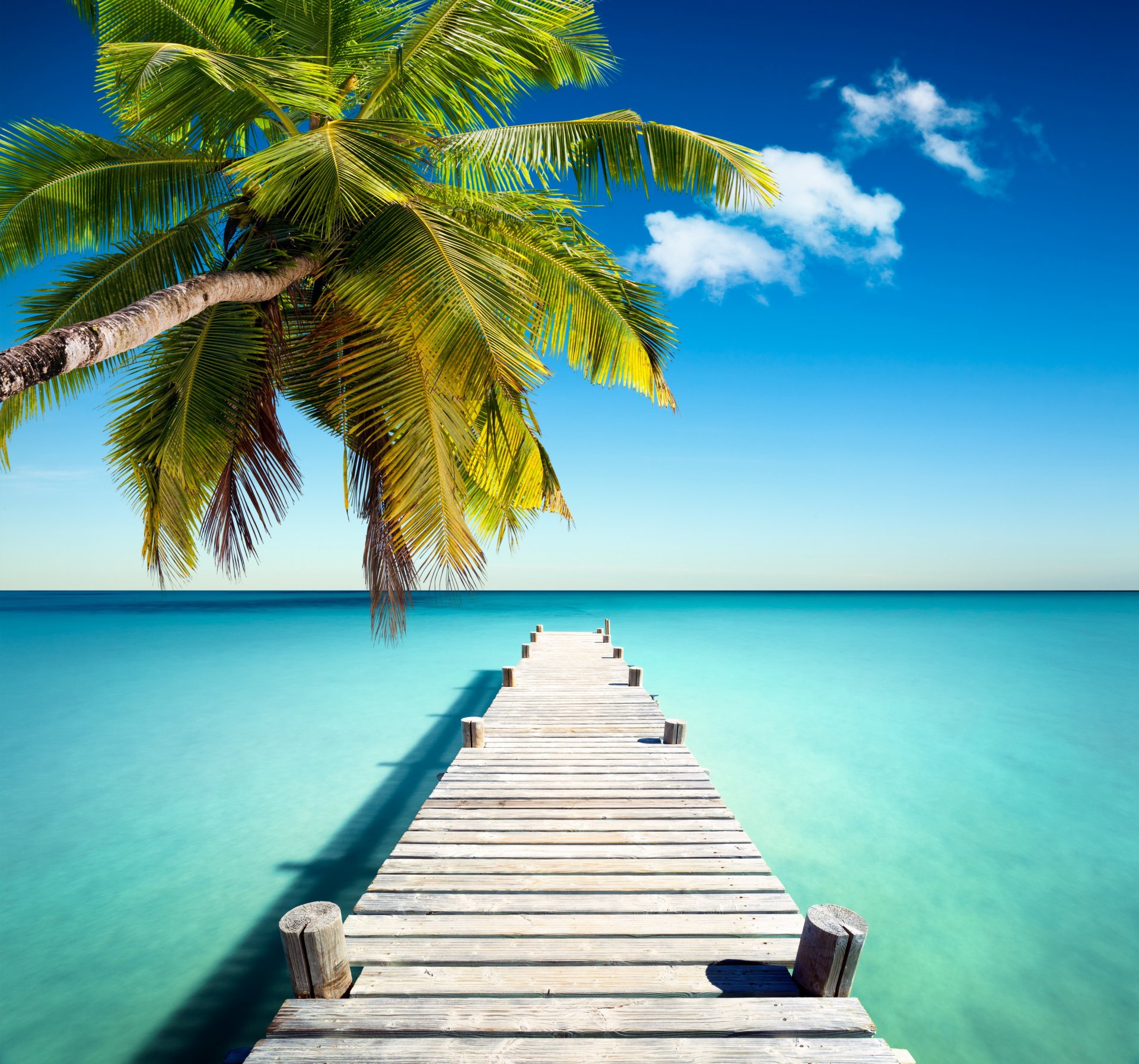 tropical paradis jetée côte mer bleu émeraude océan palm été sable loisirs tropiques plage soleil île rivage