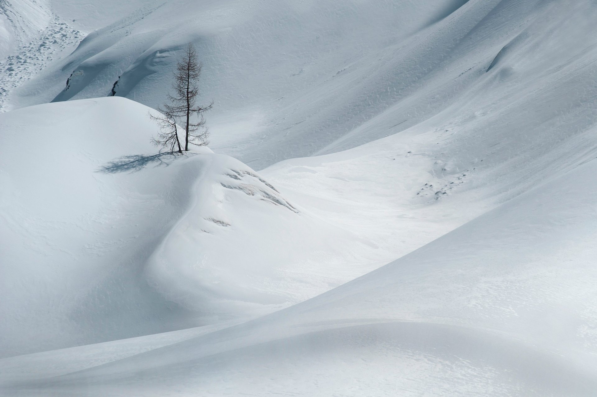 neve inverno legno