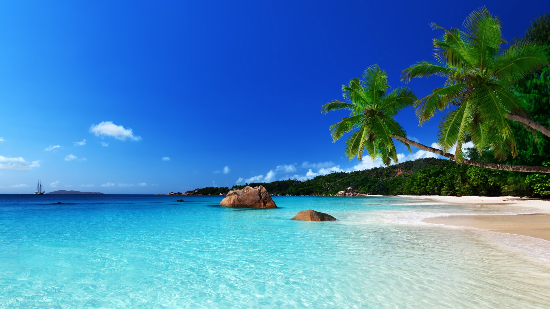 tropical paradise beach coast sea ocean palm summer tropics sand sun island shore