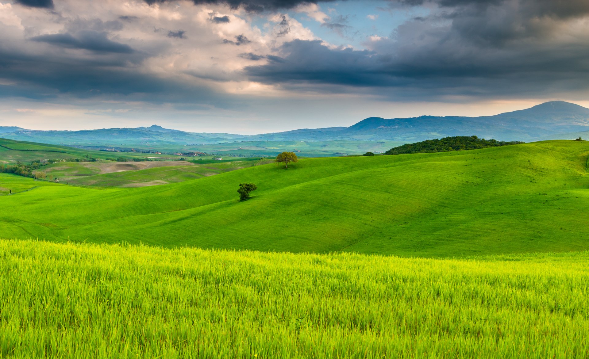 italia toscana naturaleza campos árboles cielo nubes