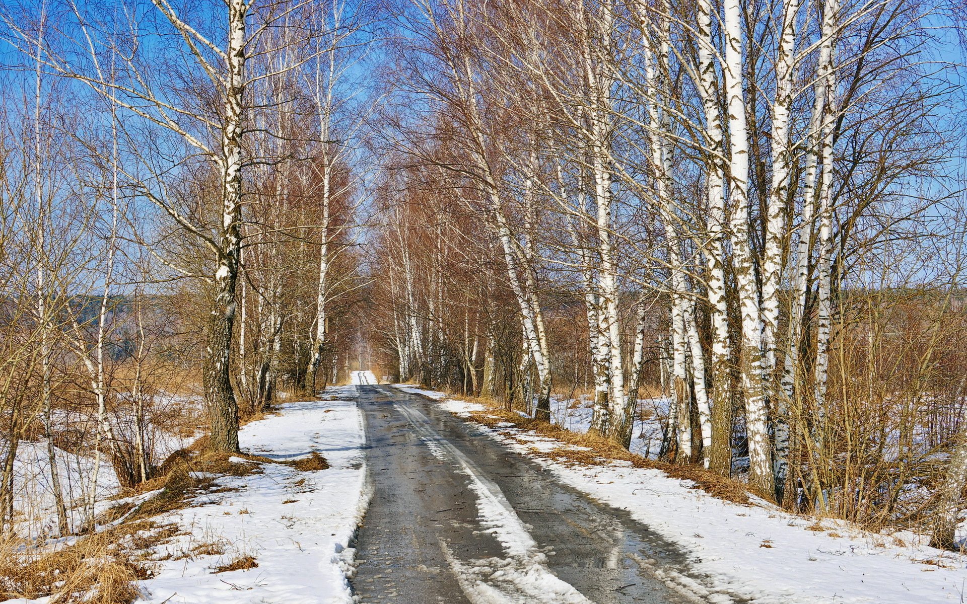 printemps route nature