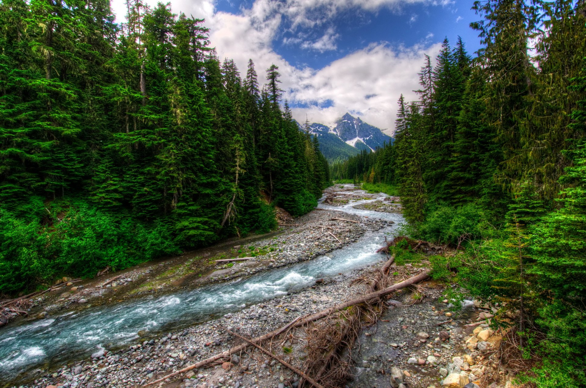 river river forest trees mountain snow clouds