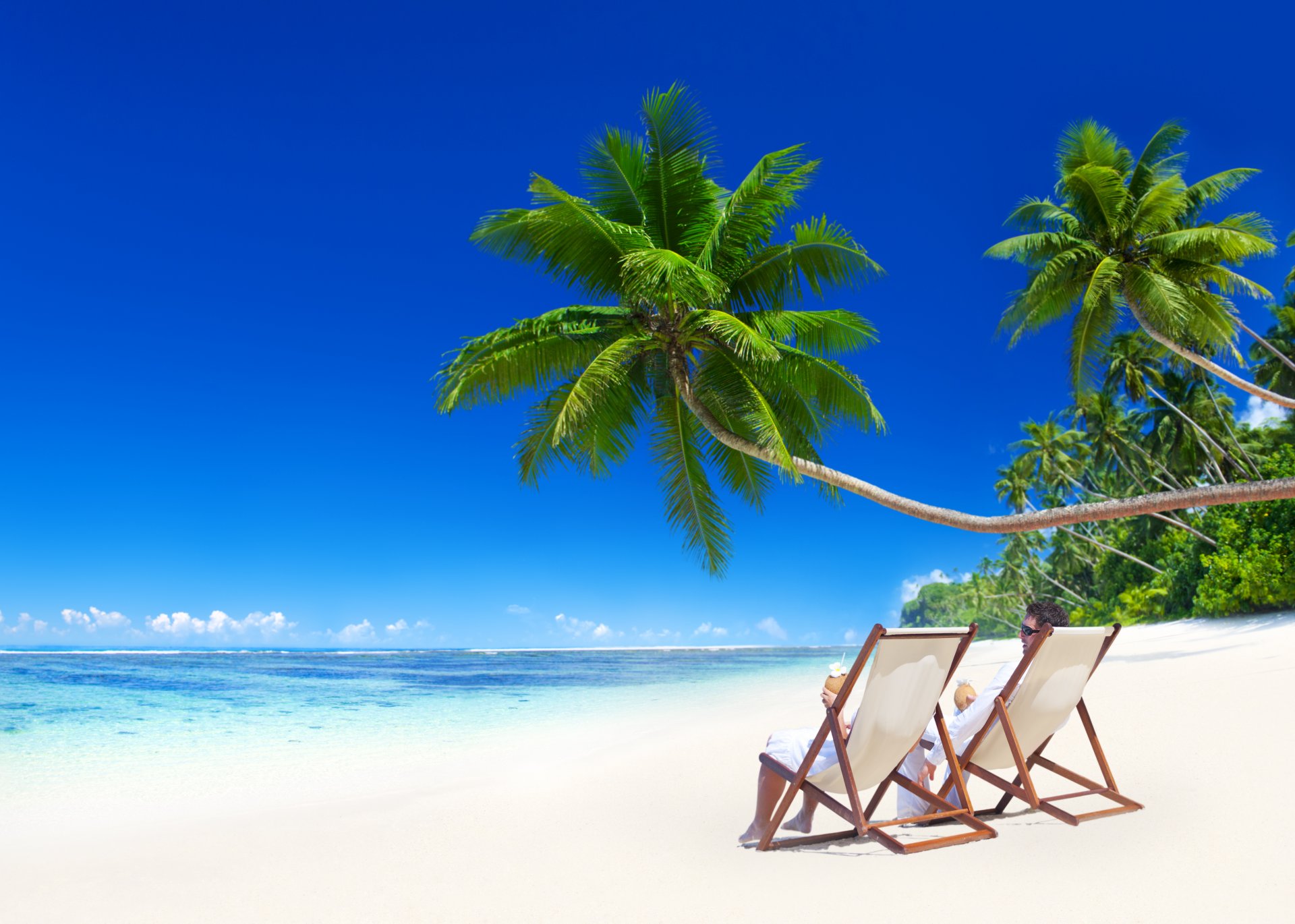 tropisch paradies strand küste meer blau smaragd ozean palm sommer sand urlaub tropen sonne insel küste palmen